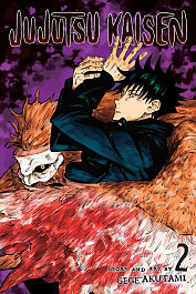картинка Jujutsu Kaisen. Vol.2 magazinul BookStore in Chisinau, Moldova