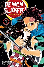 картинка Demon Slayer: Kimetsu no Yaiba. Vol.1 magazinul BookStore in Chisinau, Moldova