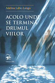 картинка Acolo unde se termina Drumul Viilor magazinul BookStore in Chisinau, Moldova