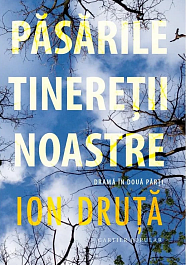 картинка Pasarile tineretii noastre magazinul BookStore in Chisinau, Moldova