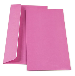 картинка Plic DL SLK, (110*220), color, roz intens magazinul BookStore in Chisinau, Moldova