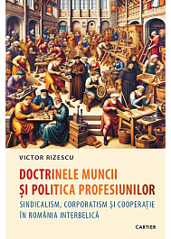картинка Doctrinele muncii si politica profesiunilor magazinul BookStore in Chisinau, Moldova