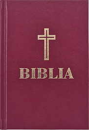 картинка Biblia magazinul BookStore in Chisinau, Moldova