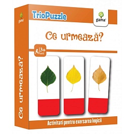 картинка Triopuzzle. Ce urmeaza? magazinul BookStore in Chisinau, Moldova