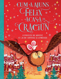 картинка Cum a ajuns Felix acasa de Craciun magazinul BookStore in Chisinau, Moldova