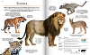 картинка Extraordinara enciclopedie a animalelor in magazinele BookStore