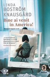 картинка Bine ai venit in America! magazinul BookStore in Chisinau, Moldova
