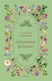 картинка Doamna Bovary magazinul BookStore in Chisinau, Moldova