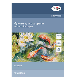 картинка Mapa pentru acuarele GAMMA Studia A3, 10 foi, 200g/m2, RL346940 magazinul BookStore in Chisinau, Moldova
